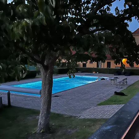 Den Gule Lade Pa Skjorringe * Stubbekobing