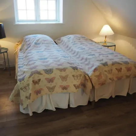 Den Gule Lade Pa Skjorringe Bed & Breakfast Stubbekobing