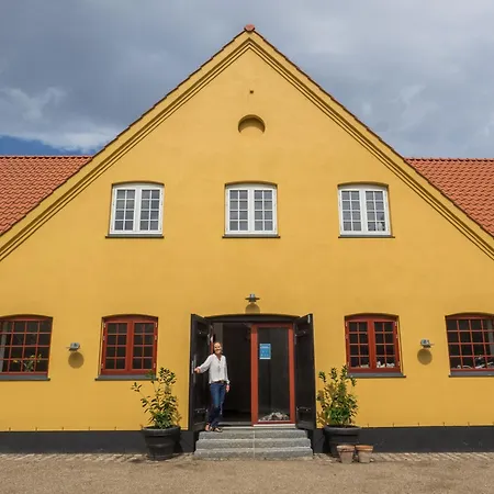Den Gule Lade Pa Skjorringe *