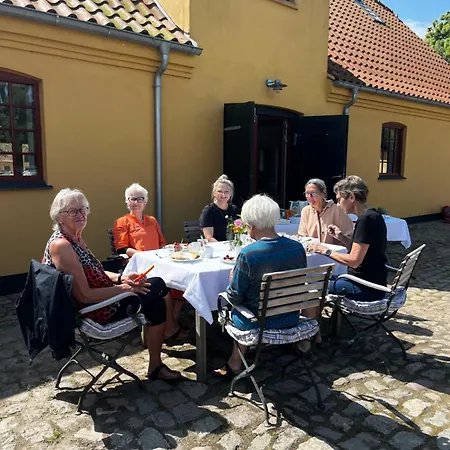 Den Gule Lade Pa Skjorringe